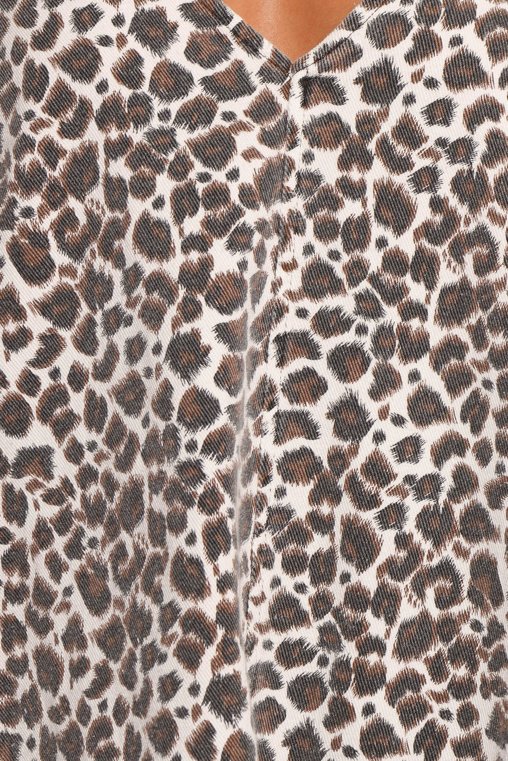 Coleman Mini Dress - Leopard