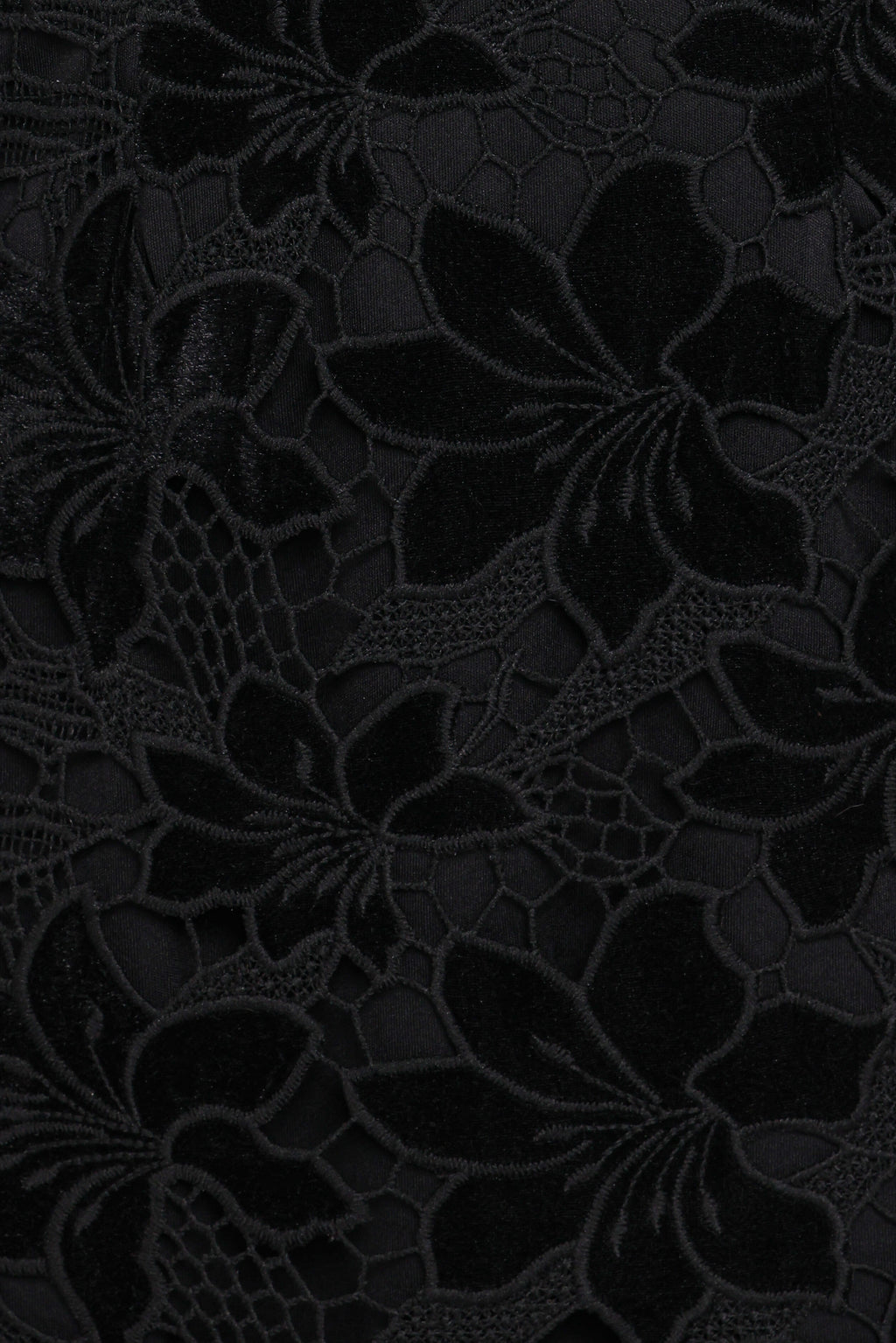 Cynthia Velvet Lace Mini Dress - Black